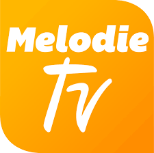 Medienpartner 6