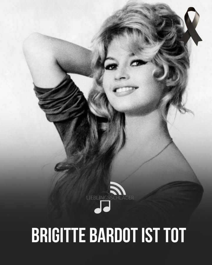 Brigitte Bardot ist tot: Filmikone und Tierschutz-Pionierin stirbt