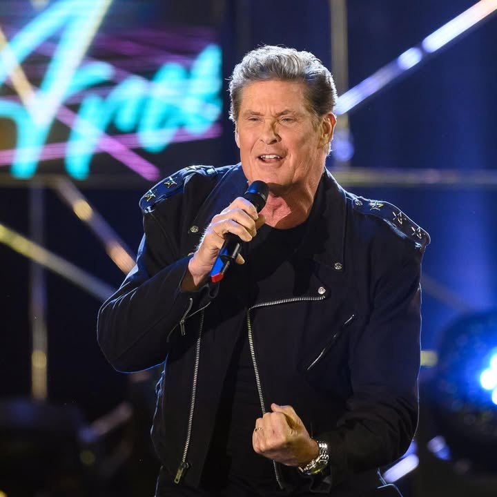 David Hasselhoff muss Tour krankheitsbedingt absagen.