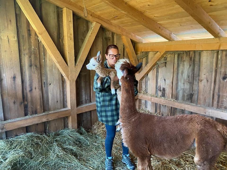 Tierzuwachs bei Andrea Berg. Habt Ihr auch Tiere? Falls ja, wen habt Ihr an Eurer Seite?