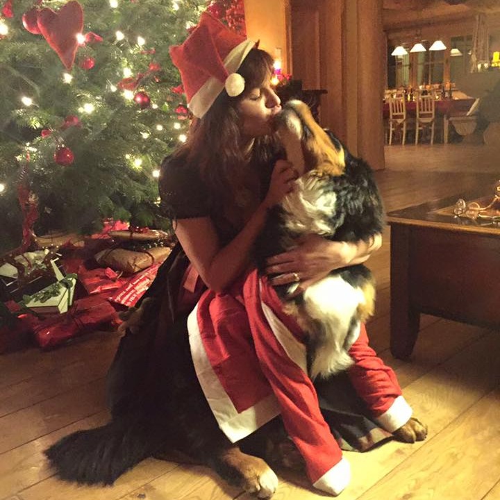 Andrea Bergs Lustige Weihnachtspanne mit ihrem Hund